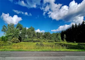 Burnt Ridge Road, Fallsburg, NY, ,Land,For Rent,Burnt Ridge,0,1035980 Burnt Ridge Road, Fallsburg, NY, ,Land,For Rent,Burnt Ridge,0,1035980