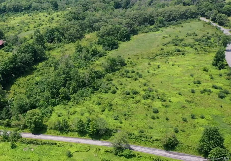 Lot D Louden Road, Austerlitz, NY, ,Land,For Rent,Louden,0,1036286 Lot D Louden Road, Austerlitz, NY, ,Land,For Rent,Louden,0,1036286