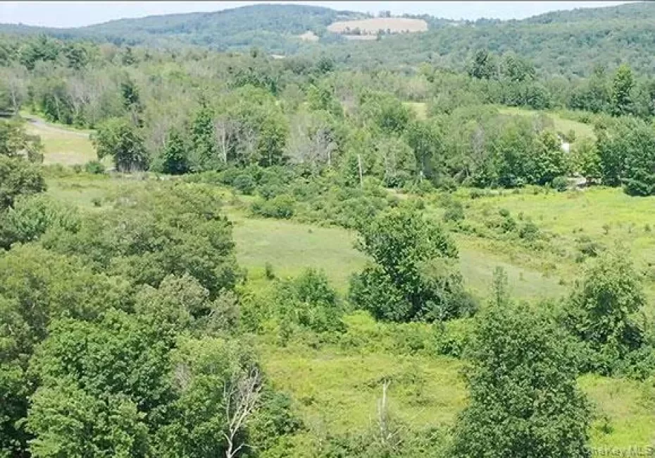 Lot F Rigor Hill Road, Austerlitz, NY, ,Land,For Rent,Rigor Hill,0,1036284 Lot F Rigor Hill Road, Austerlitz, NY, ,Land,For Rent,Rigor Hill,0,1036284