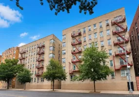 2160 Bronx Park, New York, NY, 4 Rooms Rooms,1 BathroomBathrooms,Residential,For Rent,Bronx,0,1035990 2160 Bronx Park, New York, NY, 4 Rooms Rooms,1 BathroomBathrooms,Residential,For Rent,Bronx,0,1035990