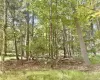 5 Trails, Deerpark, NY, ,Land,For Rent,Trails,0,1036554 5 Trails, Deerpark, NY, ,Land,For Rent,Trails,0,1036554
