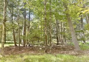 5 Trails, Deerpark, NY, ,Land,For Rent,Trails,0,1036554 5 Trails, Deerpark, NY, ,Land,For Rent,Trails,0,1036554