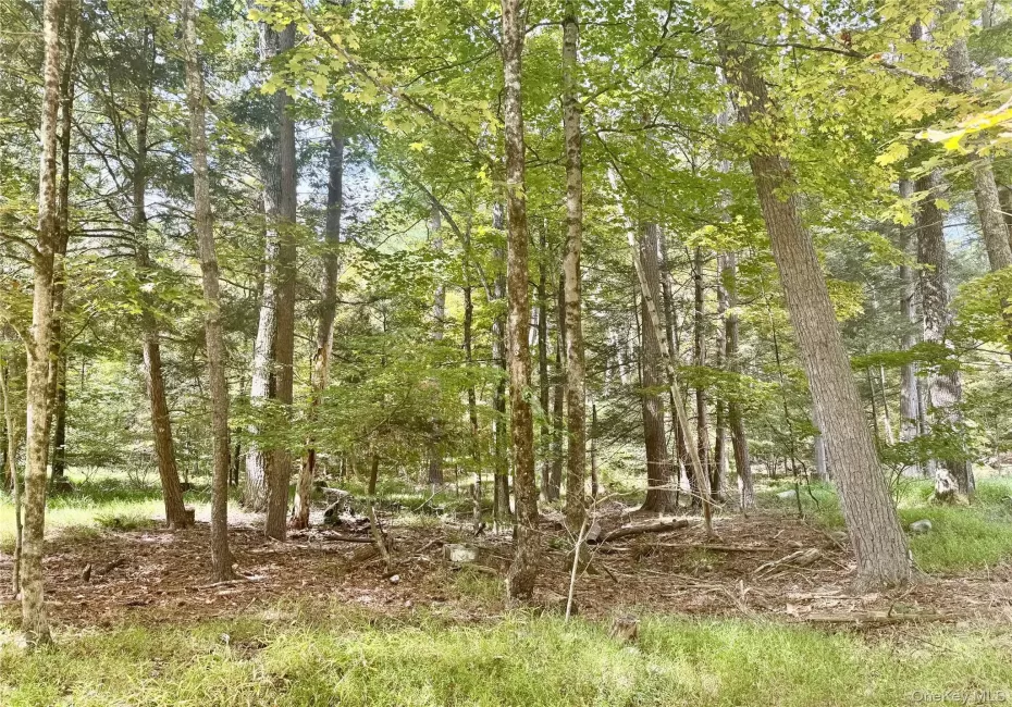 5 Trails, Deerpark, NY, ,Land,For Rent,Trails,0,1036554 5 Trails, Deerpark, NY, ,Land,For Rent,Trails,0,1036554