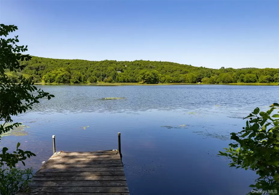 31 Lake Shore Drive, Pine Plains, NY, 1 Bedroom Bedrooms, 6 Rooms Rooms,1 BathroomBathrooms,Residential,For Rent,Lake Shore,0,1036155 31 Lake Shore Drive, Pine Plains, NY, 1 Bedroom Bedrooms, 6 Rooms Rooms,1 BathroomBathrooms,Residential,For Rent,Lake Shore,0,1036155