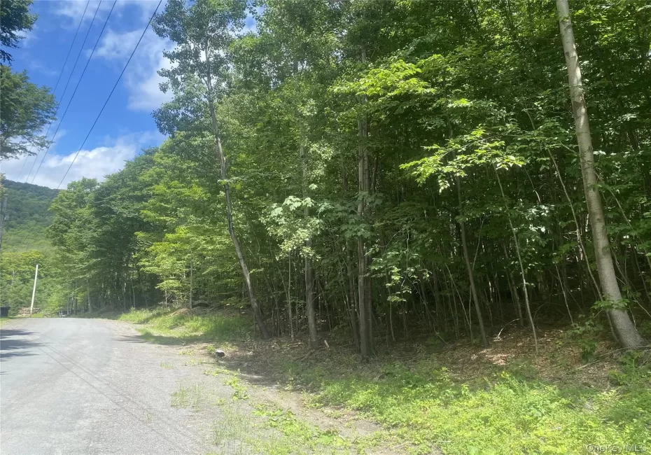 140 Arbor Road, Lexington, NY, ,Land,For Rent,Arbor,0,1036886 140 Arbor Road, Lexington, NY, ,Land,For Rent,Arbor,0,1036886