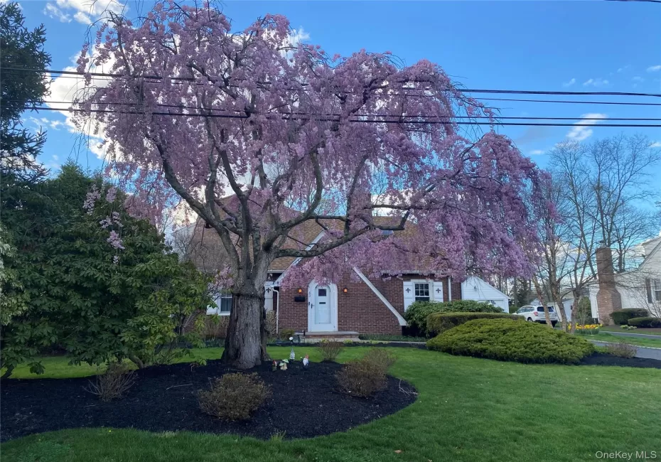 83 Village Line Road, Babylon, NY, 4 Bedrooms Bedrooms, 9 Rooms Rooms,2 BathroomsBathrooms,Residential,For Rent,Village Line,0,919627 83 Village Line Road, Babylon, NY, 4 Bedrooms Bedrooms, 9 Rooms Rooms,2 BathroomsBathrooms,Residential,For Rent,Village Line,0,919627