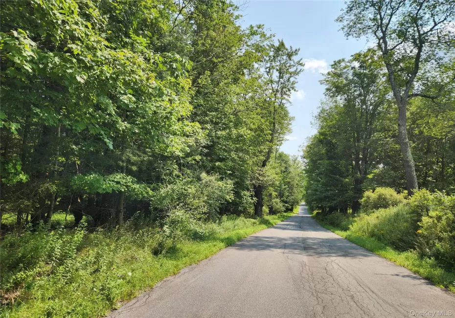 Soule Road, Bethel, NY, ,Land,For Rent,Soule,0,1035950 Soule Road, Bethel, NY, ,Land,For Rent,Soule,0,1035950