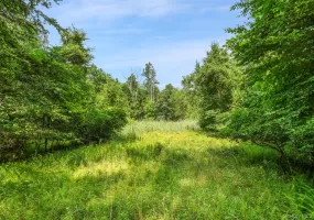 346 Oak Ridge Road, Wawarsing, NY, ,Land,For Rent,Oak Ridge,0,1037667 346 Oak Ridge Road, Wawarsing, NY, ,Land,For Rent,Oak Ridge,0,1037667
