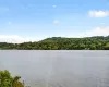 224 Haviland Drive, Patterson, NY, ,Land,For Rent,Haviland,0,1038396 224 Haviland Drive, Patterson, NY, ,Land,For Rent,Haviland,0,1038396