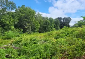 W NYS RTE 208 Highway (Bona Ventura) Avenue, Shawangunk, NY, ,Land,For Rent,(Bona Ventura),0,901314 W NYS RTE 208 Highway (Bona Ventura) Avenue, Shawangunk, NY, ,Land,For Rent,(Bona Ventura),0,901314