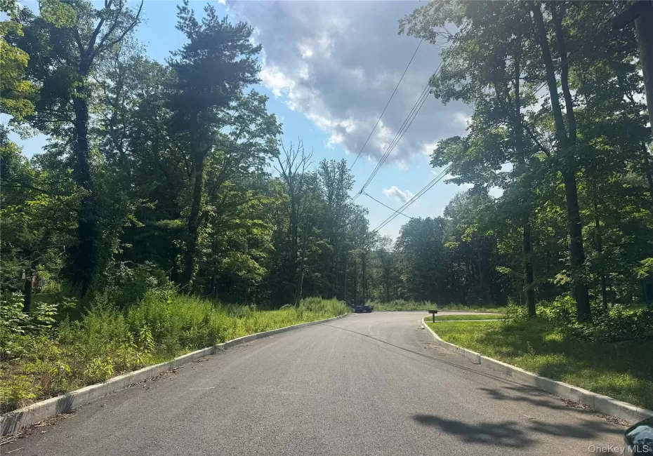 Welcome to 12 East Lane, Armonk. An exceptional 1.6-acre homesite offering Board of Health approval for a 5-bedroom residence and an approved pool site, ready for your vision. Welcome to 12 East Lane, Armonk. An exceptional 1.6-acre homesite offering Board of Health approval for a 5-bedroom residence and an approved pool site, ready for your vision.
