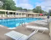 Pool Pool