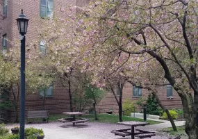 34-21 78th Street, New York, NY, 2 Bedrooms Bedrooms, 4 Rooms Rooms,2 BathroomsBathrooms,Residential Lease,For Rent,78th,0,1038518 34-21 78th Street, New York, NY, 2 Bedrooms Bedrooms, 4 Rooms Rooms,2 BathroomsBathrooms,Residential Lease,For Rent,78th,0,1038518