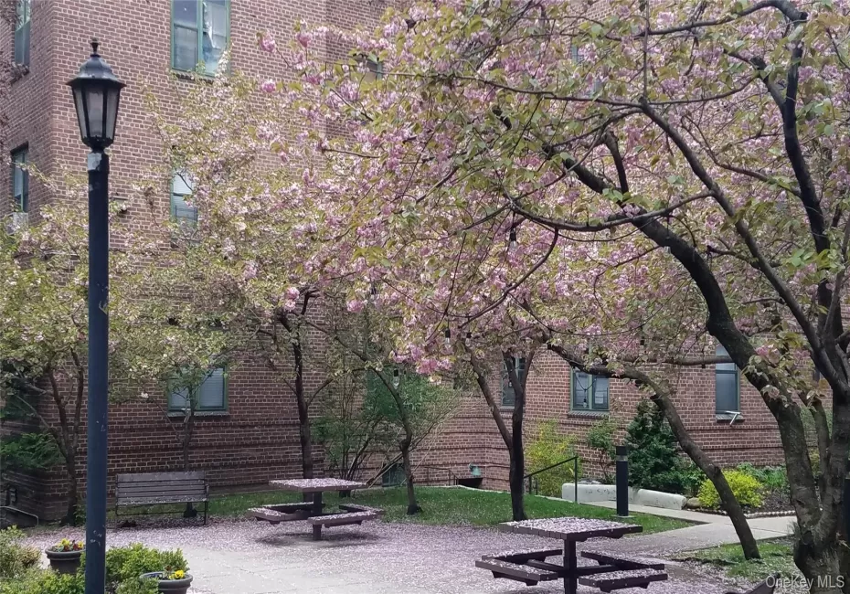 34-21 78th Street, New York, NY, 2 Bedrooms Bedrooms, 4 Rooms Rooms,2 BathroomsBathrooms,Residential Lease,For Rent,78th,0,1038518 34-21 78th Street, New York, NY, 2 Bedrooms Bedrooms, 4 Rooms Rooms,2 BathroomsBathrooms,Residential Lease,For Rent,78th,0,1038518