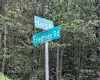 Harris Road, Thompson, NY, ,Land,For Rent,Harris,0,1037755 Harris Road, Thompson, NY, ,Land,For Rent,Harris,0,1037755