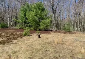 255 Wild Turnpike, Thompson, NY, ,Land,For Rent,Wild,0,1039349 255 Wild Turnpike, Thompson, NY, ,Land,For Rent,Wild,0,1039349