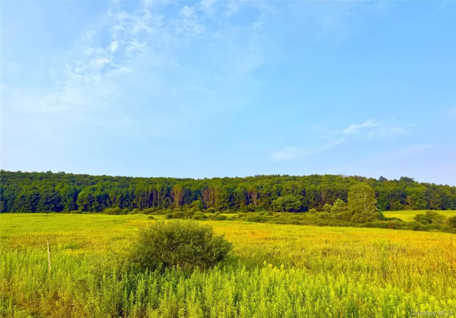 299 WALT PHILLIPS, Guilford, NY, ,Land,For Rent,WALT PHILLIPS,0,1039104 299 WALT PHILLIPS, Guilford, NY, ,Land,For Rent,WALT PHILLIPS,0,1039104
