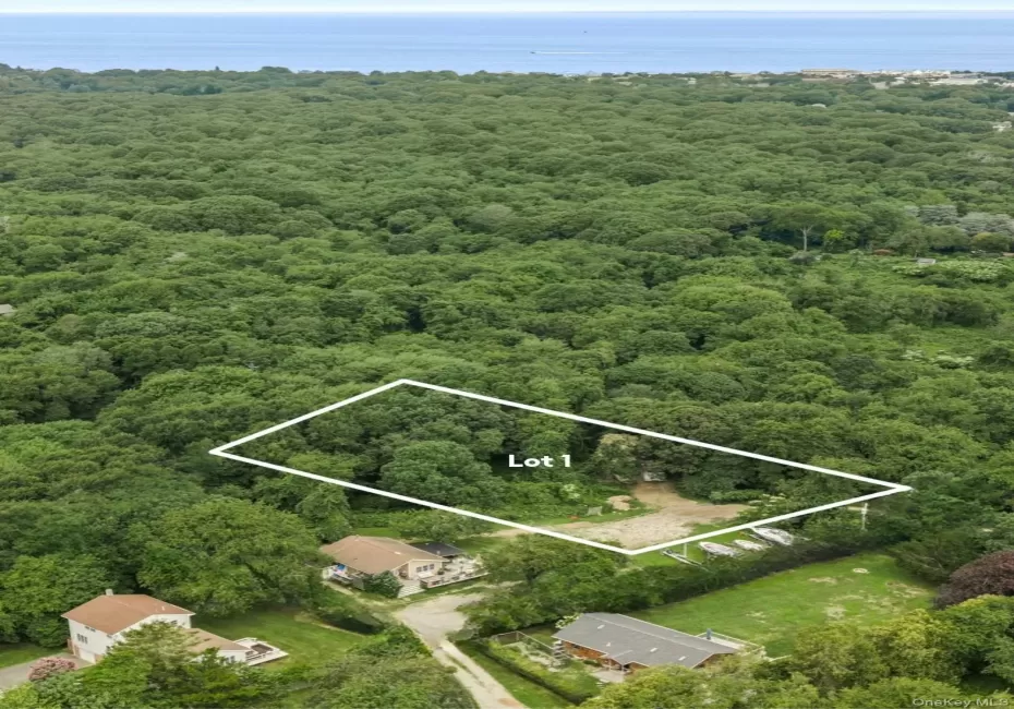 Rare Montauk land opportunity! Lot 1 set on approximately 0.8 acres in a private, wooded setting, this exceptional parcel offers a unique opportunity to create a custom Montauk retreat. Rare Montauk land opportunity! Lot 1 set on approximately 0.8 acres in a private, wooded setting, this exceptional parcel offers a unique opportunity to create a custom Montauk retreat.