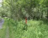 7401 Millbrook Road, Hardenburgh, NY, ,Land,For Rent,Millbrook,0,1039867 7401 Millbrook Road, Hardenburgh, NY, ,Land,For Rent,Millbrook,0,1039867