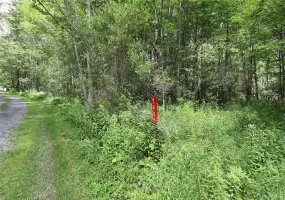 7401 Millbrook Road, Hardenburgh, NY, ,Land,For Rent,Millbrook,0,1039867 7401 Millbrook Road, Hardenburgh, NY, ,Land,For Rent,Millbrook,0,1039867