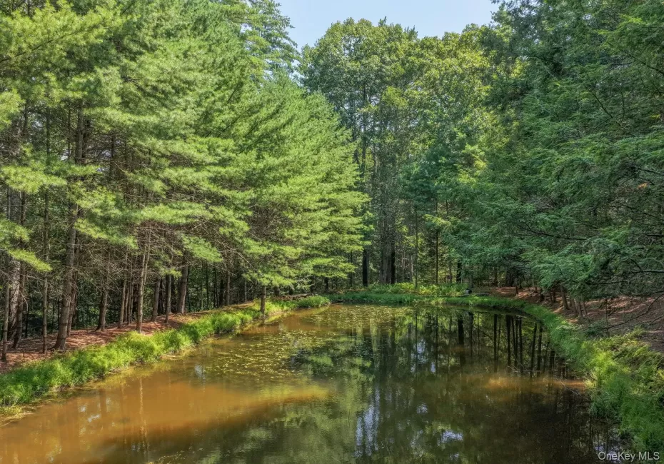 Lot 55.1 Swanerbury Road, Lumberland, NY, ,Land,For Rent,Swanerbury,0,1038145 Lot 55.1 Swanerbury Road, Lumberland, NY, ,Land,For Rent,Swanerbury,0,1038145