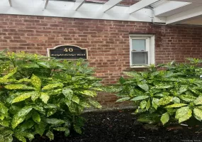 40 Knightsbridge Road, North Hempstead, NY, 1 Room Rooms,1 BathroomBathrooms,Residential Lease,For Rent,Knightsbridge,0,1039998 40 Knightsbridge Road, North Hempstead, NY, 1 Room Rooms,1 BathroomBathrooms,Residential Lease,For Rent,Knightsbridge,0,1039998