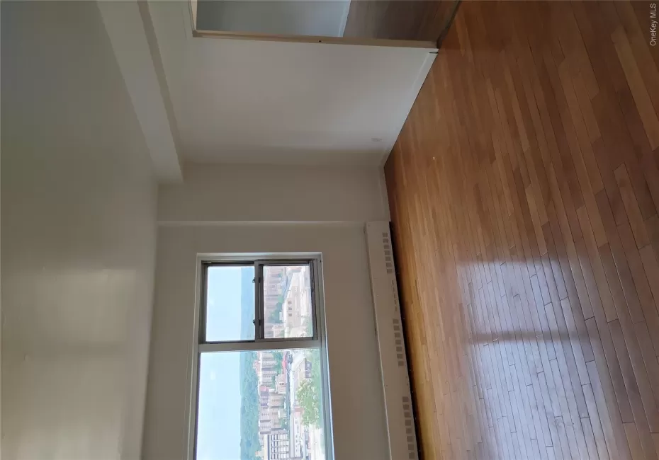Hardwood flooring, painted walls, window with metal frame, window with city backdrop, baseboard heating Hardwood flooring, painted walls, window with metal frame, window with city backdrop, baseboard heating