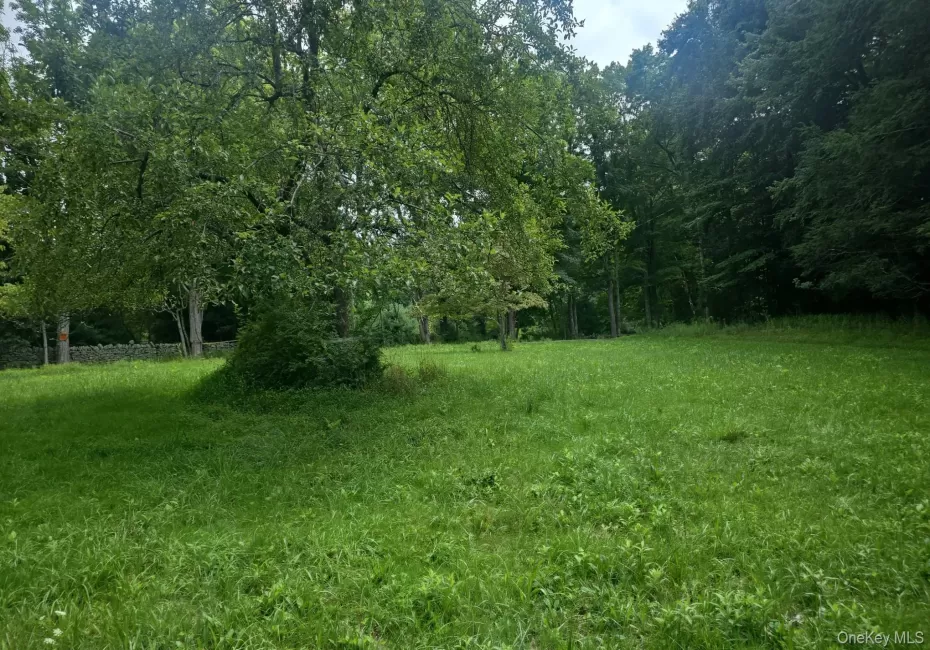 127 Old Cahoonzie Road, Deerpark, NY, ,Land,For Rent,Old Cahoonzie,0,1040301 127 Old Cahoonzie Road, Deerpark, NY, ,Land,For Rent,Old Cahoonzie,0,1040301
