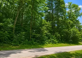 Benton Hollow Road, Neversink, NY, ,Land,For Rent,Benton Hollow,0,1037321 Benton Hollow Road, Neversink, NY, ,Land,For Rent,Benton Hollow,0,1037321