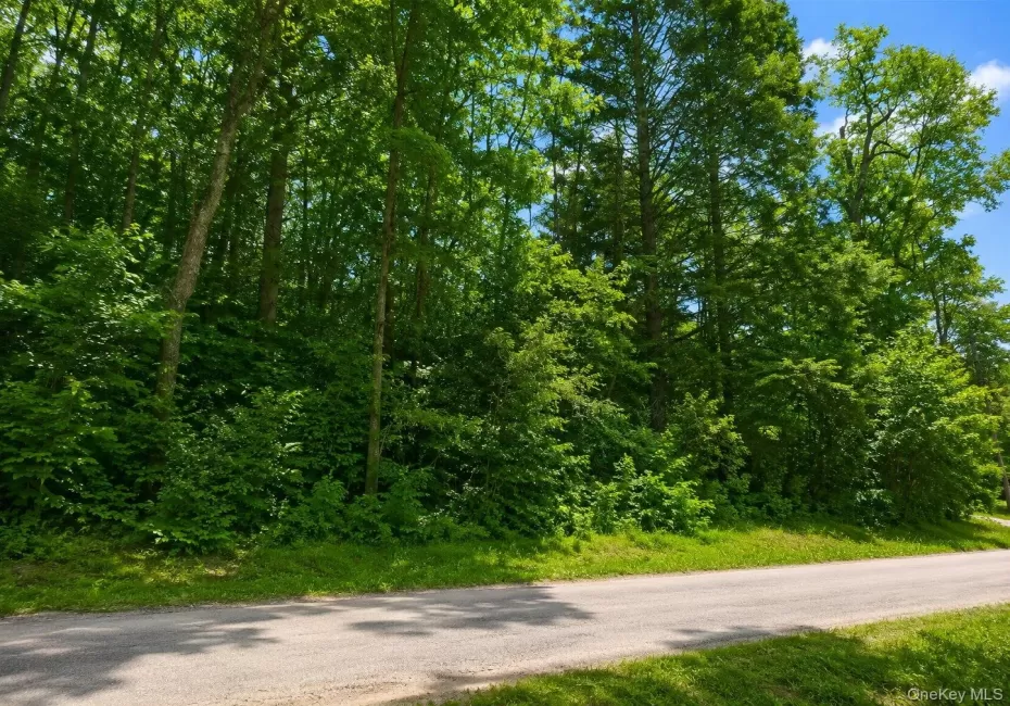 Benton Hollow Road, Neversink, NY, ,Land,For Rent,Benton Hollow,0,1037321 Benton Hollow Road, Neversink, NY, ,Land,For Rent,Benton Hollow,0,1037321