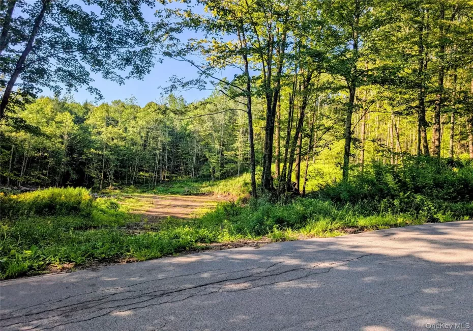 Hurd Road, Bethel, NY, ,Land,For Rent,Hurd,0,1036889 Hurd Road, Bethel, NY, ,Land,For Rent,Hurd,0,1036889