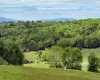 Mountain view with a heavily wooded area Mountain view with a heavily wooded area