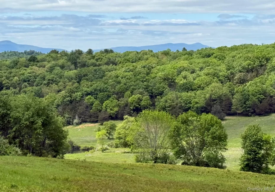 Mountain view with a heavily wooded area Mountain view with a heavily wooded area