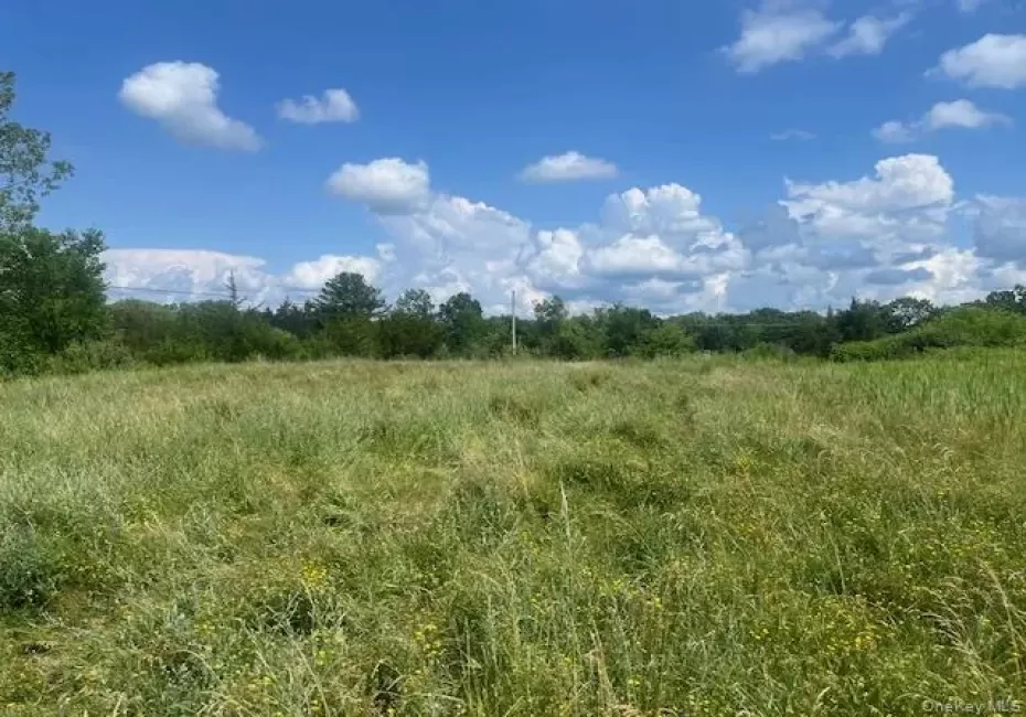 Lot 3 Fairview Avenue Fairview, Hudson, NY, ,Land,For Rent,Fairview,0,1041862 Lot 3 Fairview Avenue Fairview, Hudson, NY, ,Land,For Rent,Fairview,0,1041862