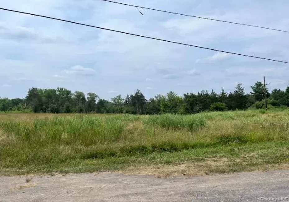 Pulcher Avenue, Hudson, NY, ,Land,For Rent,Pulcher,0,1041868 Pulcher Avenue, Hudson, NY, ,Land,For Rent,Pulcher,0,1041868