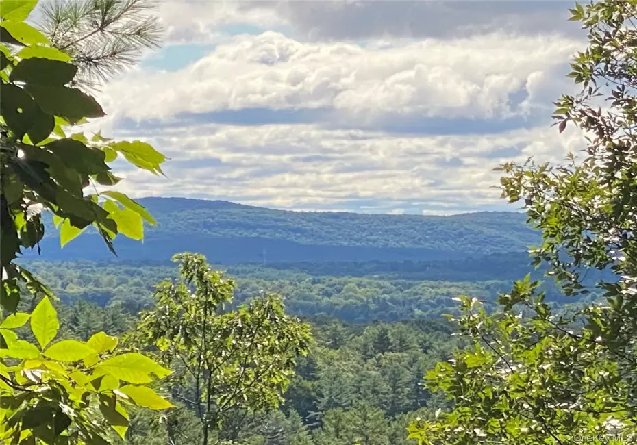 Mountain view featuring a forest Mountain view featuring a forest