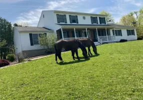 39 Blooms Corners Road, Warwick (town), NY, 2 Bedrooms Bedrooms, 6 Rooms Rooms,1 BathroomBathrooms,Residential Lease,For Rent,Blooms Corners,0,1038266 39 Blooms Corners Road, Warwick (town), NY, 2 Bedrooms Bedrooms, 6 Rooms Rooms,1 BathroomBathrooms,Residential Lease,For Rent,Blooms Corners,0,1038266