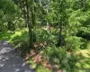 36 Spruce Street, Mamakating, NY, ,Land,For Rent,Spruce,0,1041987 36 Spruce Street, Mamakating, NY, ,Land,For Rent,Spruce,0,1041987