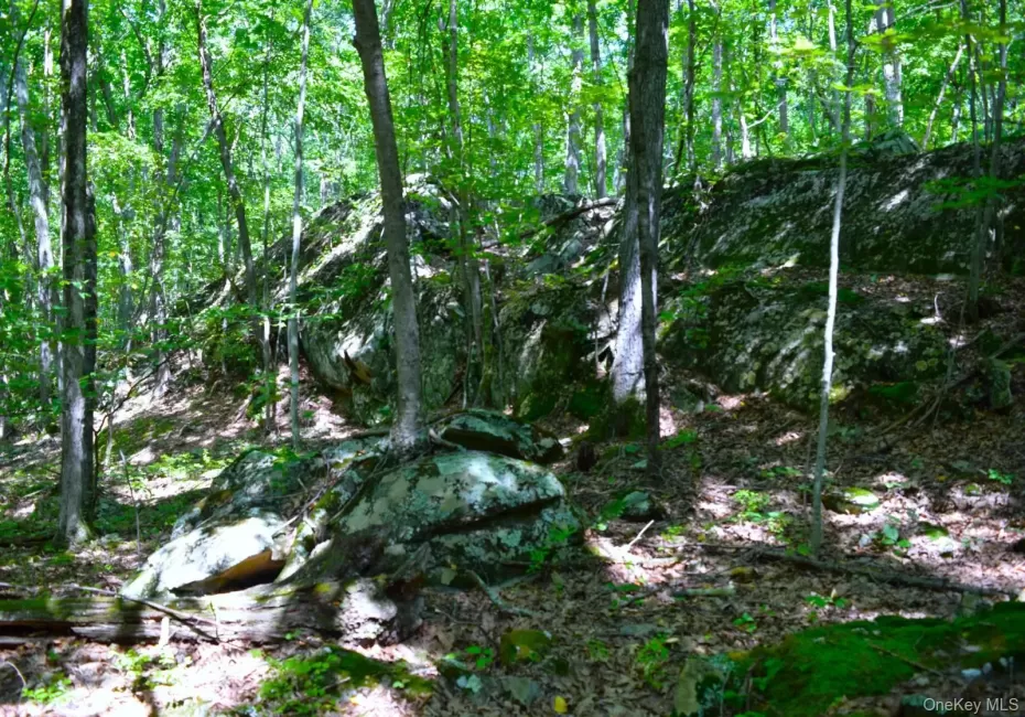 33 Old East Road, Plattekill, NY, ,Land,For Rent,Old East,0,1042765 33 Old East Road, Plattekill, NY, ,Land,For Rent,Old East,0,1042765