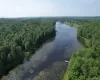 Bird's eye view of a forest and a nearby body of water Bird's eye view of a forest and a nearby body of water