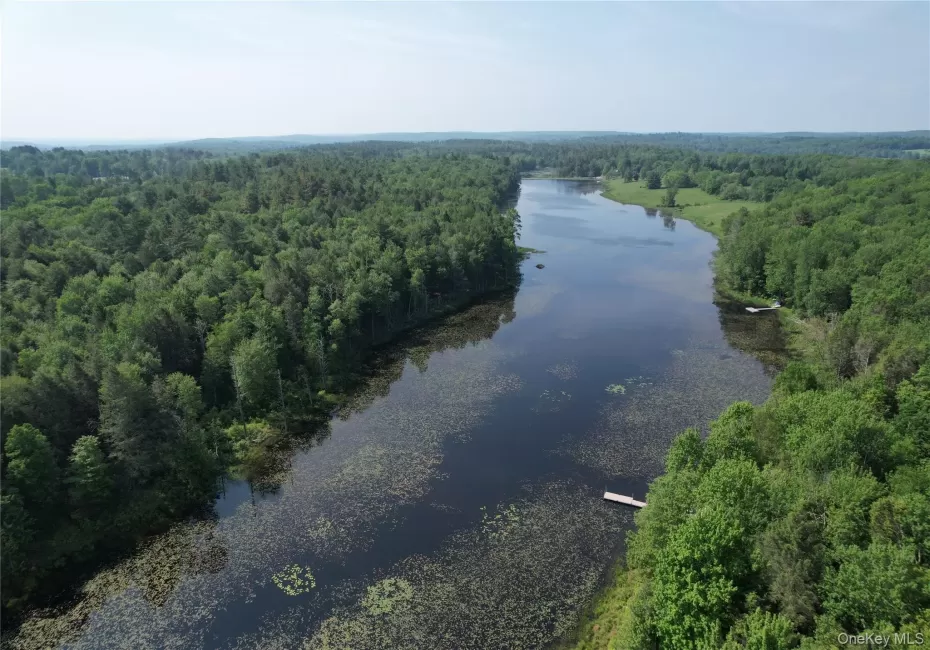 Bird's eye view of a forest and a nearby body of water Bird's eye view of a forest and a nearby body of water