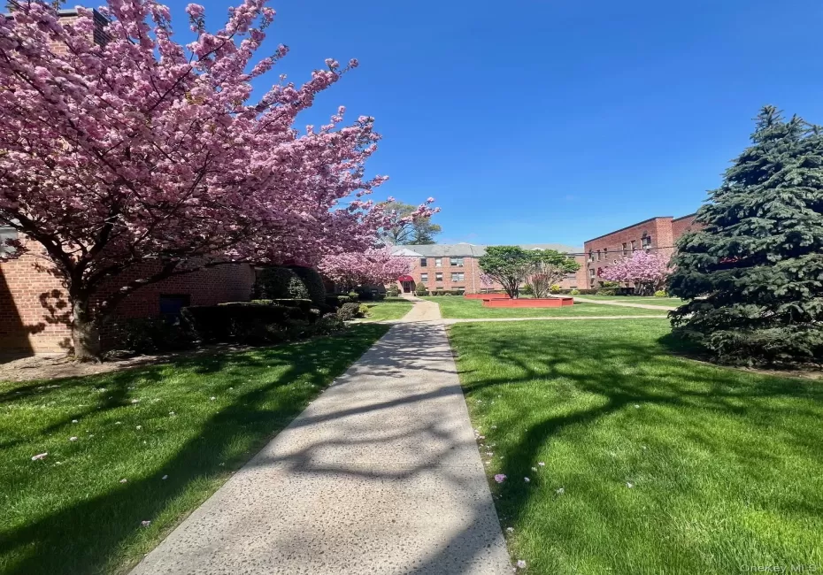 204 Richbell Road, Mamaroneck, NY, 1 Bedroom Bedrooms, 3 Rooms Rooms,1 BathroomBathrooms,Residential,For Rent,Richbell,0,1044930 204 Richbell Road, Mamaroneck, NY, 1 Bedroom Bedrooms, 3 Rooms Rooms,1 BathroomBathrooms,Residential,For Rent,Richbell,0,1044930