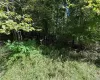 Lot 20.1 Mt Prosper Road, Mamakating, NY, ,Land,For Rent,Mt Prosper,0,1045418 Lot 20.1 Mt Prosper Road, Mamakating, NY, ,Land,For Rent,Mt Prosper,0,1045418