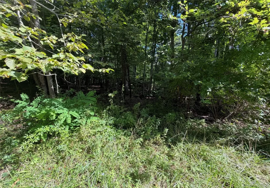 Lot 20.1 Mt Prosper Road, Mamakating, NY, ,Land,For Rent,Mt Prosper,0,1045418 Lot 20.1 Mt Prosper Road, Mamakating, NY, ,Land,For Rent,Mt Prosper,0,1045418