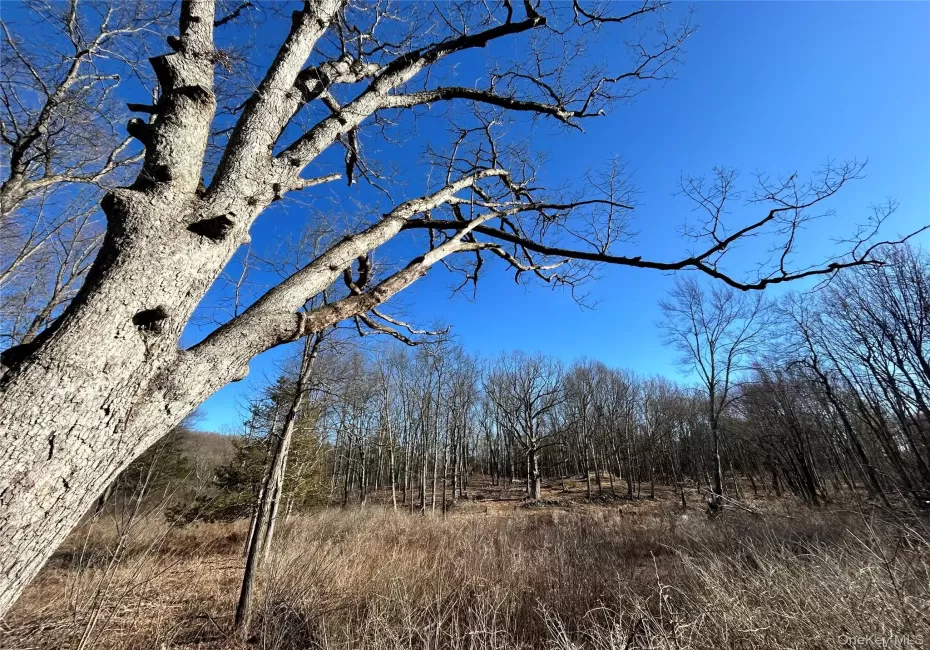 Rt-9G, Rhinebeck, NY, ,Land,For Rent,Rt-9G,0,842946 Rt-9G, Rhinebeck, NY, ,Land,For Rent,Rt-9G,0,842946