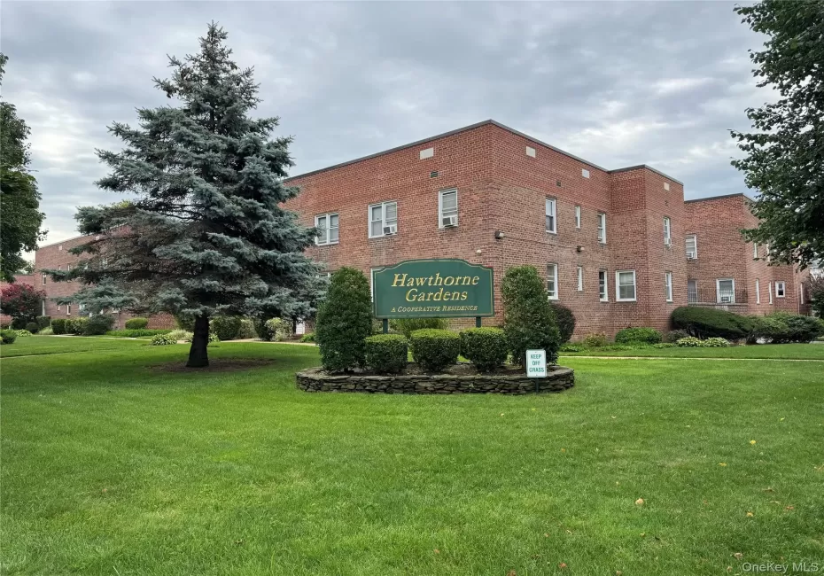 145 Smith, Hempstead, NY, 1 Bedroom Bedrooms, 4 Rooms Rooms,1 BathroomBathrooms,Residential,For Rent,Smith,0,1045668 145 Smith, Hempstead, NY, 1 Bedroom Bedrooms, 4 Rooms Rooms,1 BathroomBathrooms,Residential,For Rent,Smith,0,1045668