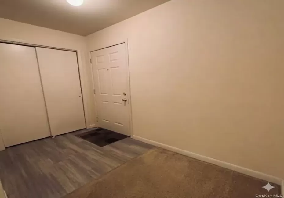 Entryway & Hallway with closet. Entryway & Hallway with closet.