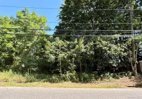 #189, #191 Mount Vernon Avenue, Brookhaven, NY, ,Land,For Rent,Mount Vernon Avenue,0,908173 #189, #191 Mount Vernon Avenue, Brookhaven, NY, ,Land,For Rent,Mount Vernon Avenue,0,908173
