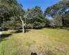 92 Tiana Road, Southampton, NY, ,Land,For Rent,Tiana,0,1047314 92 Tiana Road, Southampton, NY, ,Land,For Rent,Tiana,0,1047314