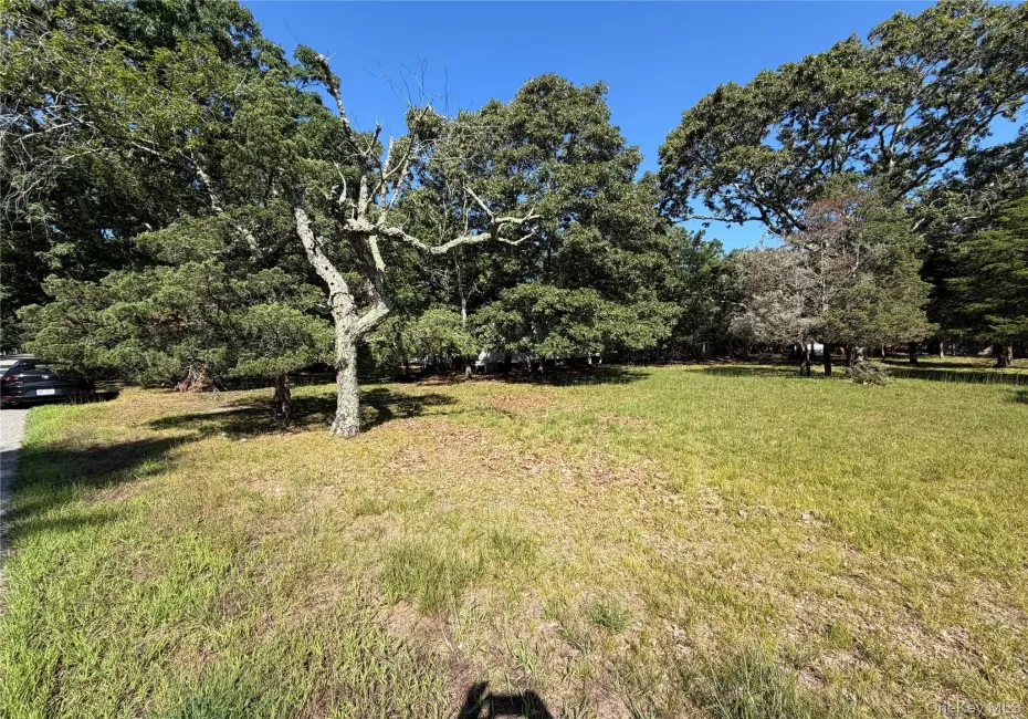 92 Tiana Road, Southampton, NY, ,Land,For Rent,Tiana,0,1047314 92 Tiana Road, Southampton, NY, ,Land,For Rent,Tiana,0,1047314
